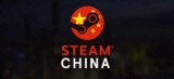    Steam